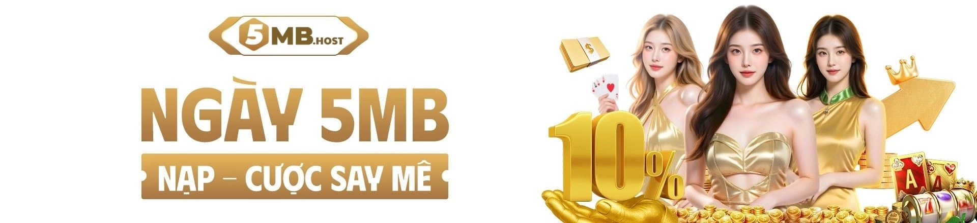 banner-5mb-host