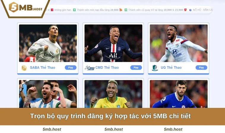 Trọn bộ quy trình đăng ký hợp tác với 5MB chi tiết